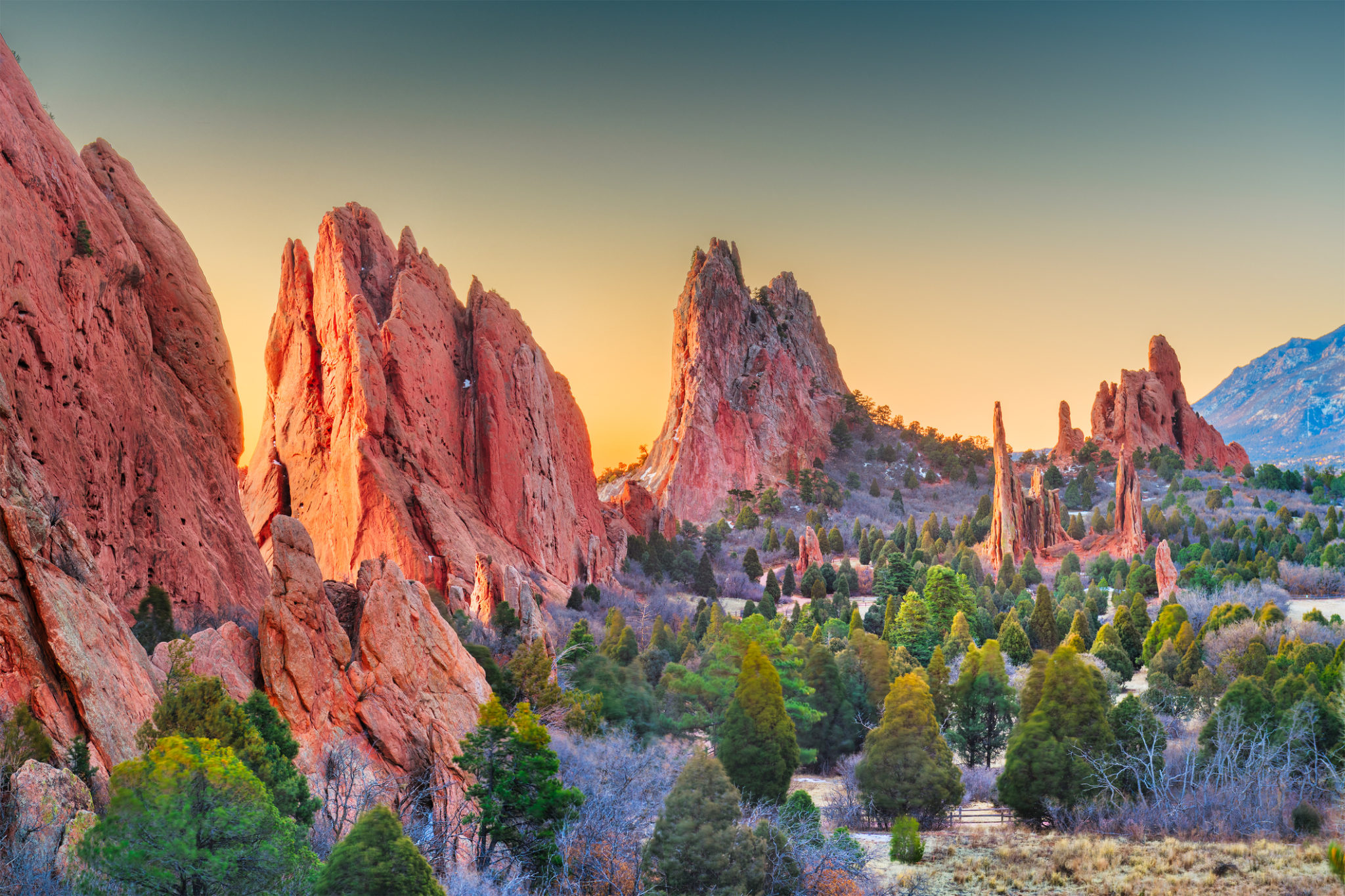Health Insurance in Colorado Springs Colorado Springs CO